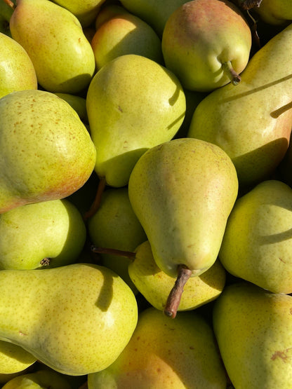 R.JELINEK Williams Birne Obstbrand (Pear Brandy) 42% Vol. 0,7l